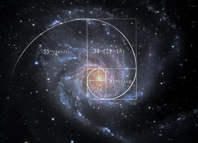 Miért a 1618 a legfontosabb szám az Univerzumban és miért hívják „Isten számának” aranymetszés, arányok, Fibonacci-számok, galéria, geometria, Leonardo da Vinci, matematika, művészet, spirál, természet, zene