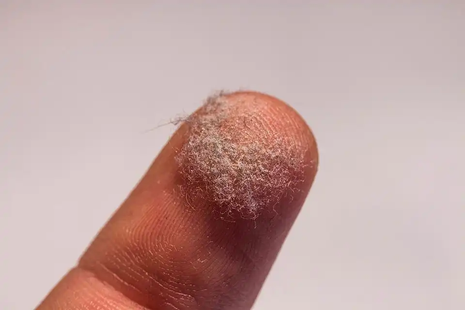 10 váratlan tény a világról, amiben élünk biológia, érdekes tények, film érdekességek, furcsa tények, jog, kozmosz, rejtélyek, történelem, tudomány, űrkutatás