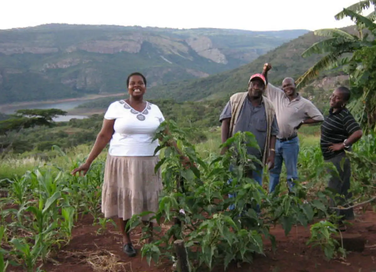 Egy rejtélyes tó Afrikában, ahonnan nem lehet elvinni a vizet. Mi ennek a különleges helynek a titka? Dél-Afrika, Fundudzi tó, helyi legendák, kristályosodás, Limpopo, mérgező víz, rejtélyes tó, szent tó, természeti csoda, ukodola