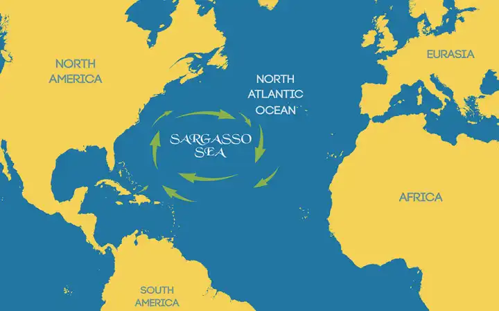 Miért félnek a tengerészek behajózni a Sargasso-tengerbe? A világ legtitokzatosabb tengerének titkai Atlanti-óceán, Bermuda-háromszög, hajóeltűnések, hínárok, part nélküli tenger, Sargasso-tenger, Sargassum, tengeráramlatok, tengeri élővilág, tengeri rejtélyek