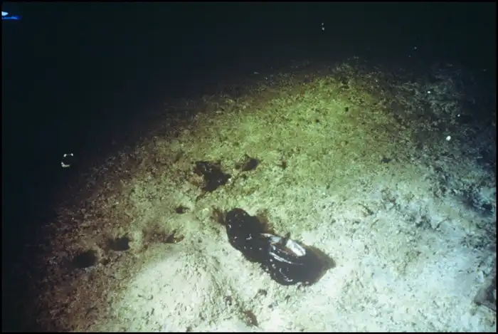 Hová tűntek a Titanicon elhunyt emberek holttestei? Mondom, mutatom Áldozatok, hajótörés, Holttestek, Óceánjáró, Robert Ballard, tengerfenék, tengeri tragédia, Titanic, Titanic katasztrófa, Titanic roncs