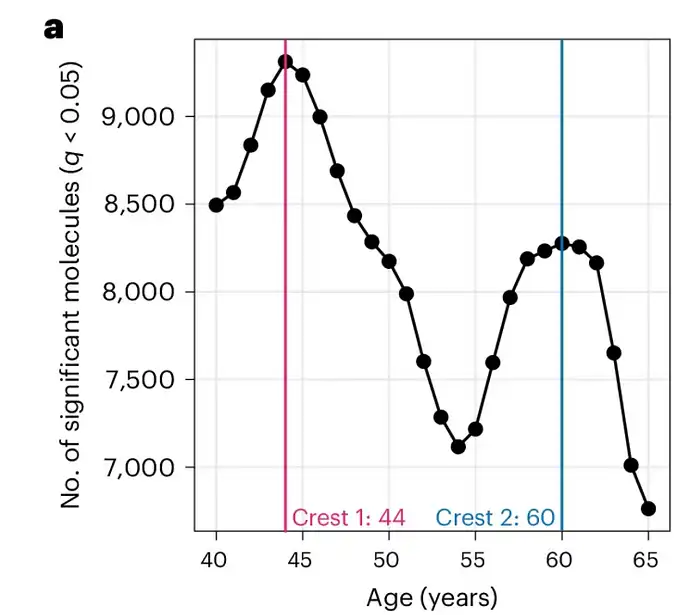 Hány éves a tested? Állj egy lábon, és derítsd ki egészség, Egyensúly, Életkor, fitnesz, kutatás, Mérés, Öregedés, Prevenció, test, Vitalitás