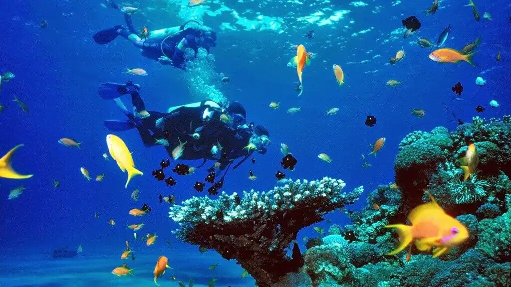 Koh Tao rejtélye, avagy miért neveznek Thaiföldön egy paradicsomi helyet a „halál szigetének”? áldozatok, bűnözés, halál, Koh Tao, Korrupció, Maffia, rejtély, Thaiföld, turizmus, utazás