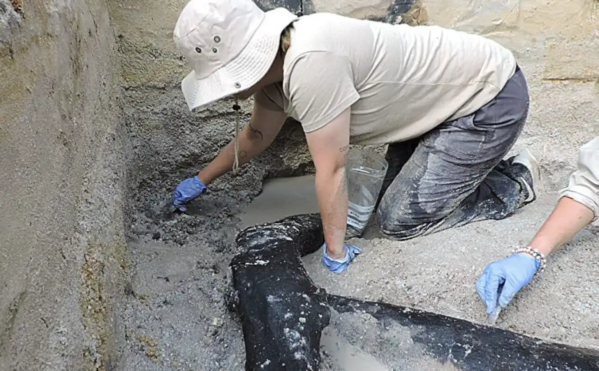 A régészek egyedülálló felfedezése fenekestül felforgatott mindent, amit az ember eredetéről tudunk. Mit fedeztek fel? afrika, civilizáció, Építmények, eszközök, evolúció, felfedezés, Ősember, Őstörténet, régészet, tudomány