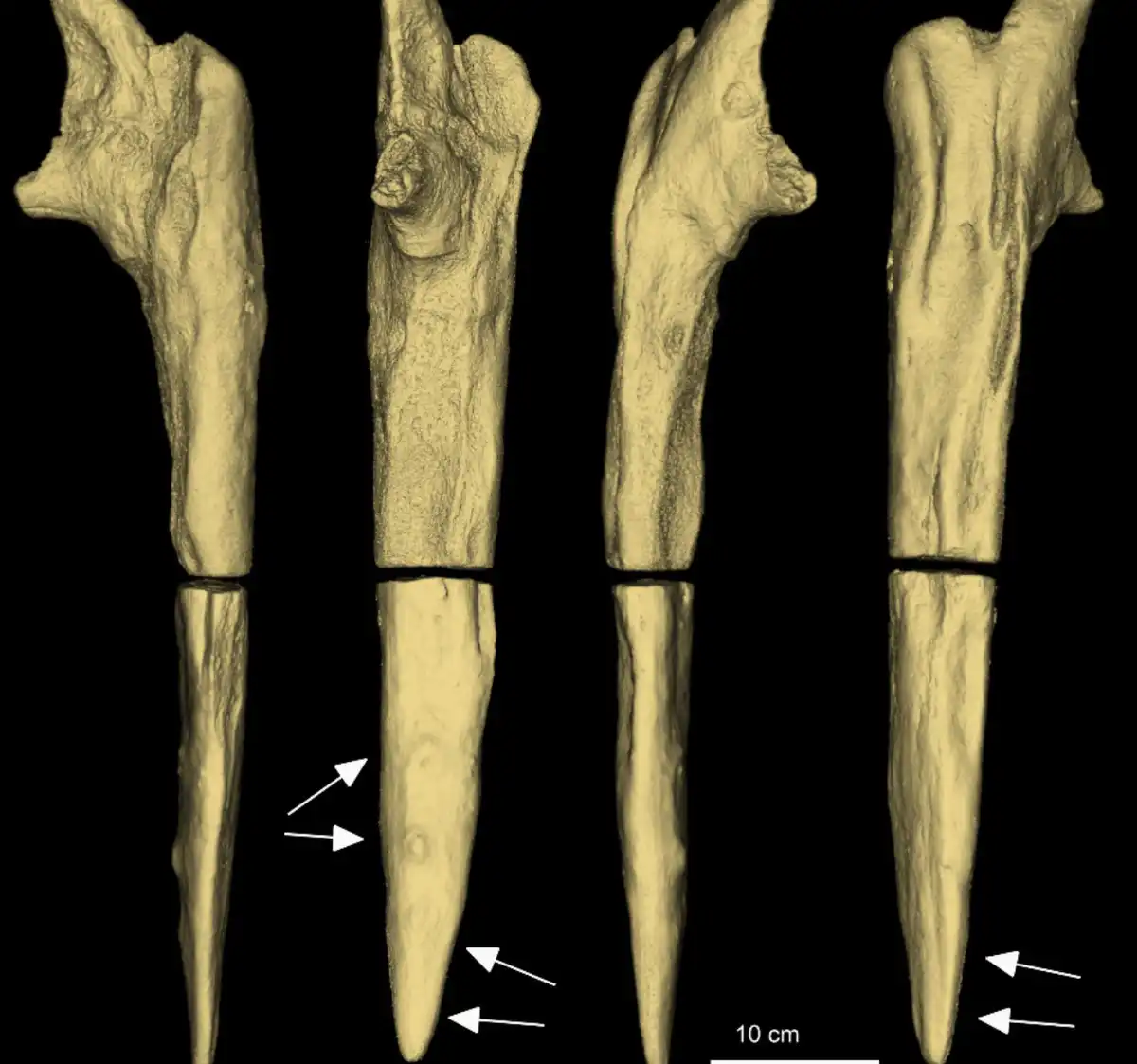 A régészek egyedülálló felfedezése fenekestül felforgatott mindent, amit az ember eredetéről tudunk. Mit fedeztek fel? afrika, civilizáció, Építmények, eszközök, evolúció, felfedezés, Ősember, Őstörténet, régészet, tudomány
