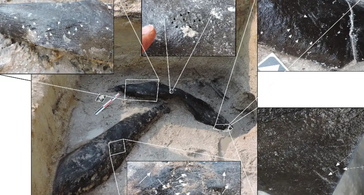 A régészek egyedülálló felfedezése fenekestül felforgatott mindent, amit az ember eredetéről tudunk. Mit fedeztek fel? afrika, civilizáció, Építmények, eszközök, evolúció, felfedezés, Ősember, Őstörténet, régészet, tudomány