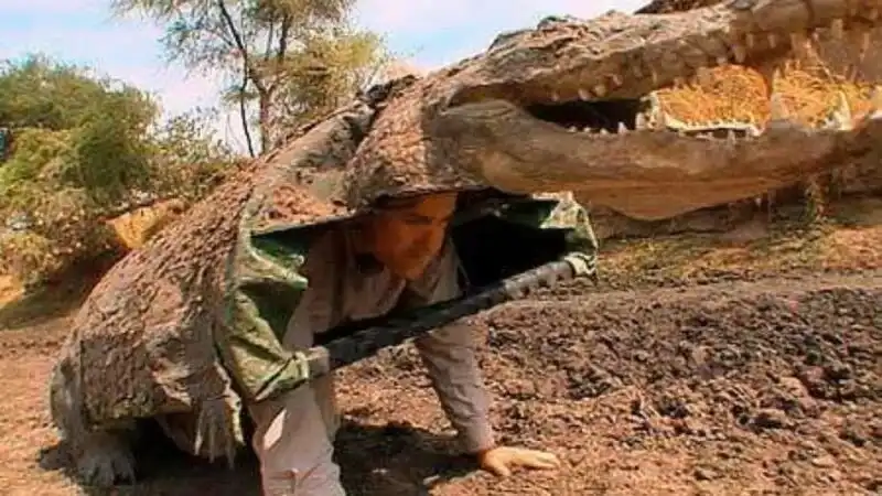 A zoológus krokodilnak öltözött, és bemászott a krokodilok közé. Hogyan ért véget a veszélyes kísérlet? Álcázás, expedíció, galéria, Kaland, Krokodilok, kutatás, természetvédelem, Tudós, vadvilág, veszély, zoológia