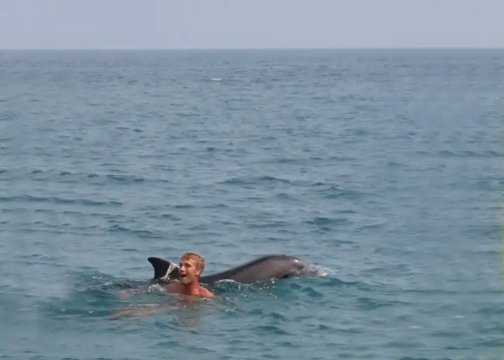 A nők valószínűleg másképp tekintenek majd a delfinekkel való játékra, ha megtudják, mi sülhet ki belőle. És a férfiaknak is óvatosabbnak kell lenniük delfin, Emlős, Interakció, Óvatosság, tenger, Tévhit, vadvilág, veszély, viselkedés, Zaklatás