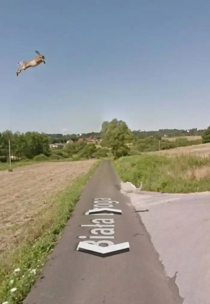30 váratlan felfedezés a Google Earth-ön Érdekességek, felfedezés, föld, földrajz, Google Earth, műhold, rejtély, térkép, utazás, világ