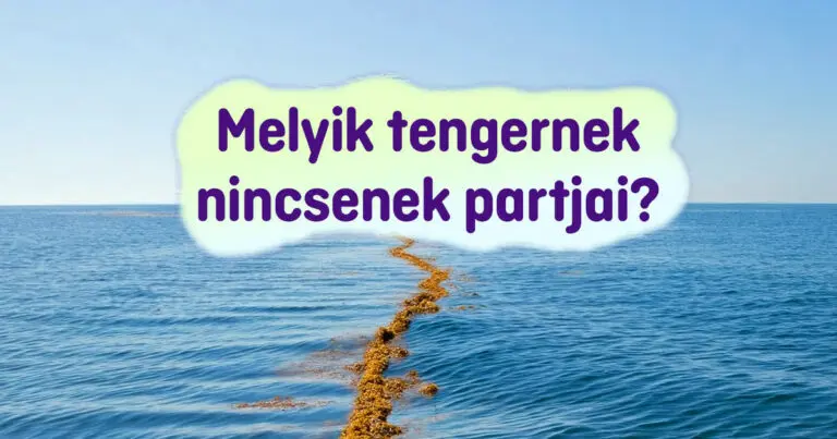 14 iskolai kérdés, ami még a legokosabb embereket is könnyedén összezavarja