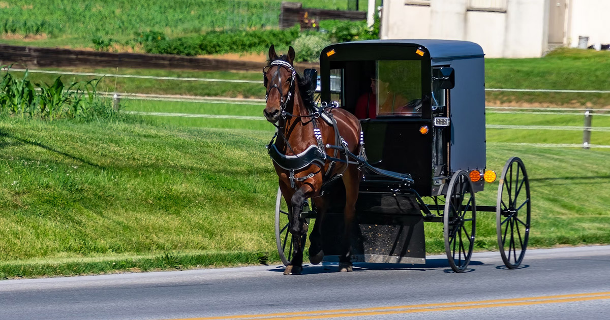 Az amish életmód 15+ legfontosabb szabálya, ami egy átlagember számára komoly kihívást jelentene