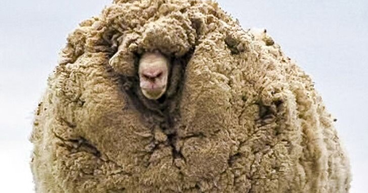 20 ritka fénykép, amit az életedben legalább egyszer látnod kell