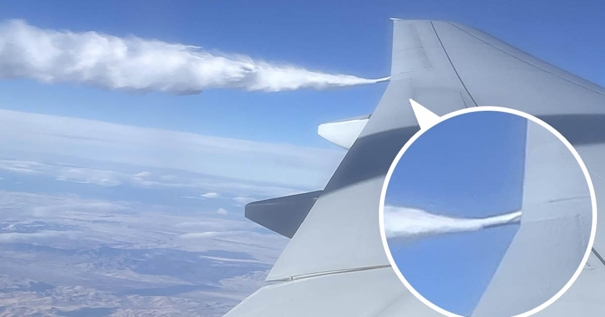 20+ alkalom, amikor az emberek észrevettek valami különlegeset, és gyorsan elterjedt az interneten