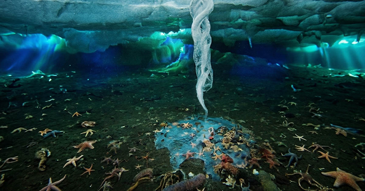 Mi az a „halál jeges ujja” pontosan? Miért fagyaszt le mindent, amihez hozzáér