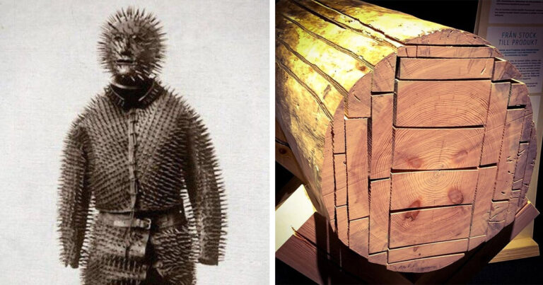 30+ fotó azoknak, akik rég nem mondták: „Most már mindent láttam!”