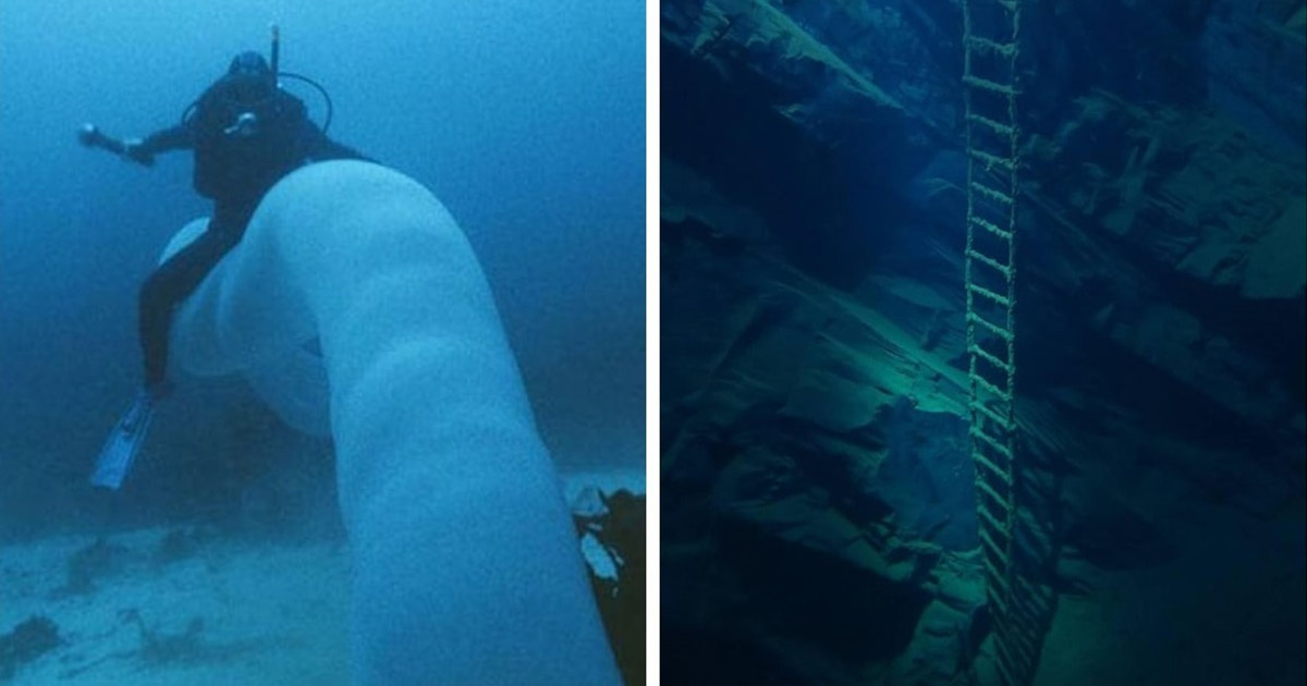 15 hátborzongató kép a tengerfenékről, amely talasszofóbiát okozhat