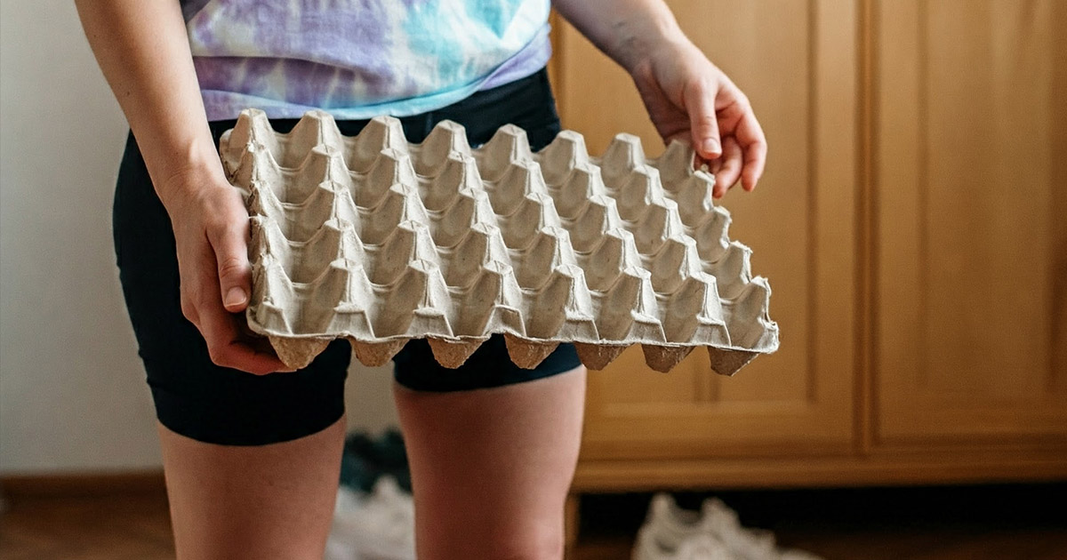 Miért hasznos télen egy tojástartó az előszobában? Egy ismerősömnél láttam ezt a trükköt