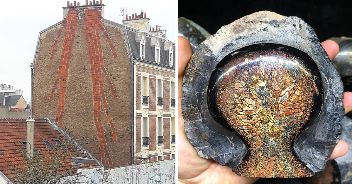 20+ válogatott fotó azok számára, akik újra rá akarnak csodálkozni a világ kiszámíthatatlanságára