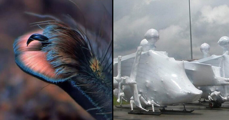 25 fotó arról, amit nem tudtunk, soha nem láttunk és nem is sejtettünk