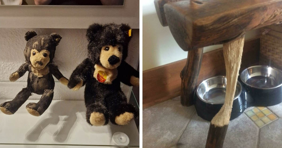 30 fényképes bizonyíték az idő múlásának könyörtelenségére