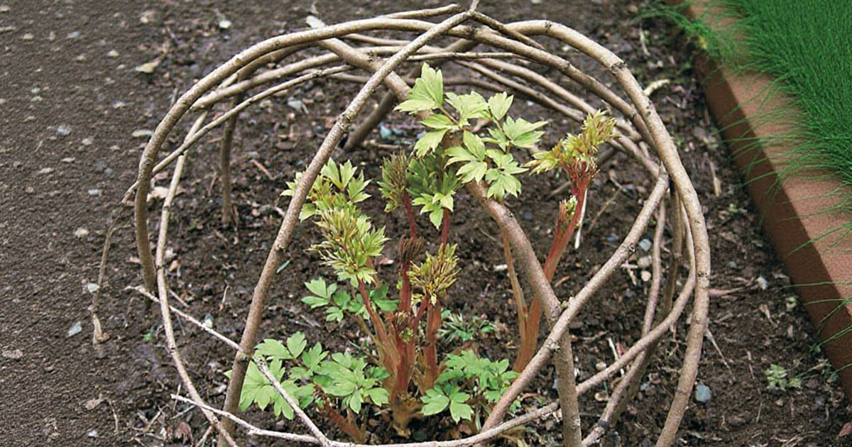 Saját kezűleg készíthető hasznos dolgok a kertbe. 20 dolog, amiről nem is gondoltad volna, hogy lehetséges