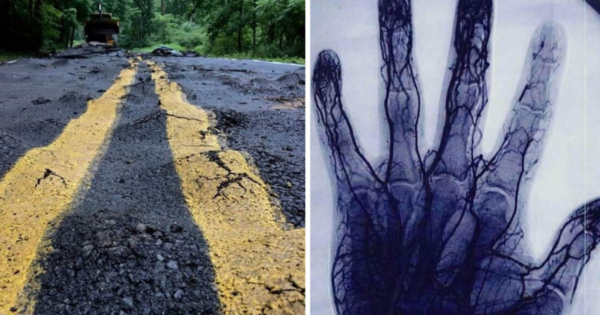 18 fényképes bizonyíték arra, hogy mi történhet, és milyen furcsa következményekkel járhat, ha…