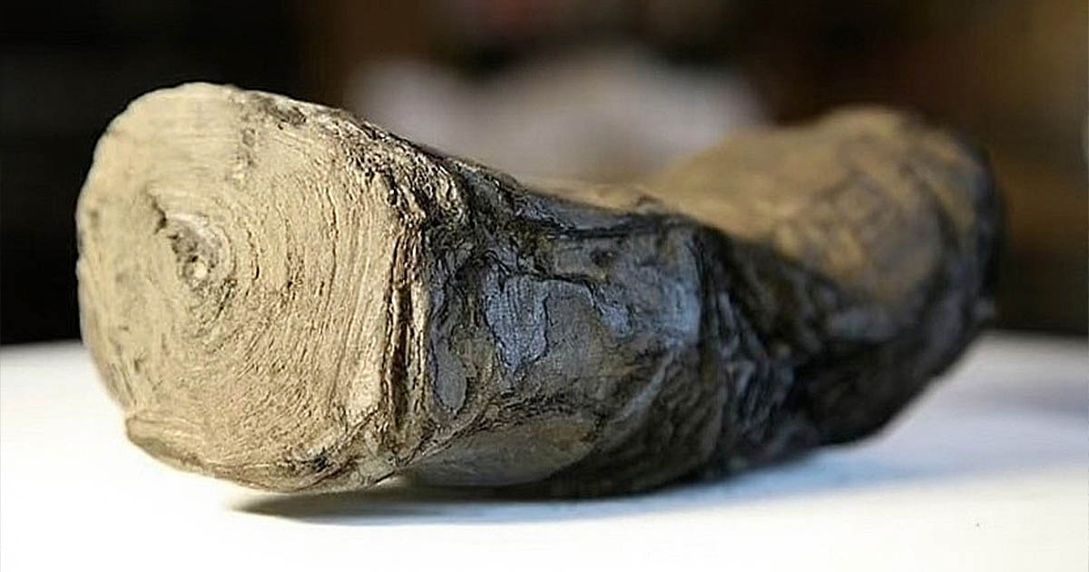 A tudósok belenéznek egy 2000 éves tekercsbe a mesterséges intelligencia segítségével