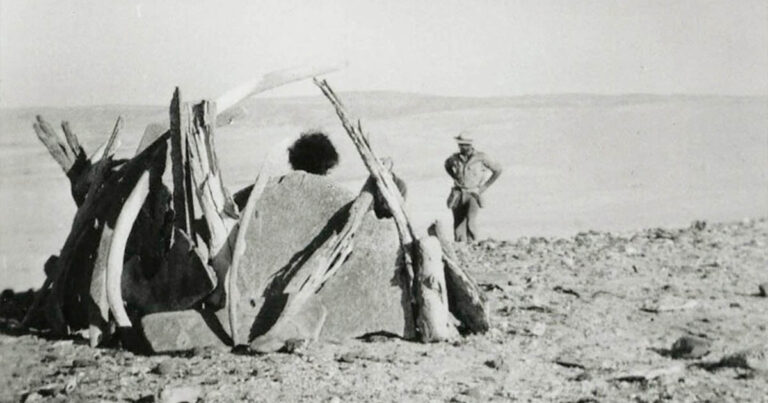 18 év egy lakatlan szigeten: hogyan boldogult a szigeten „felejtett” nő?