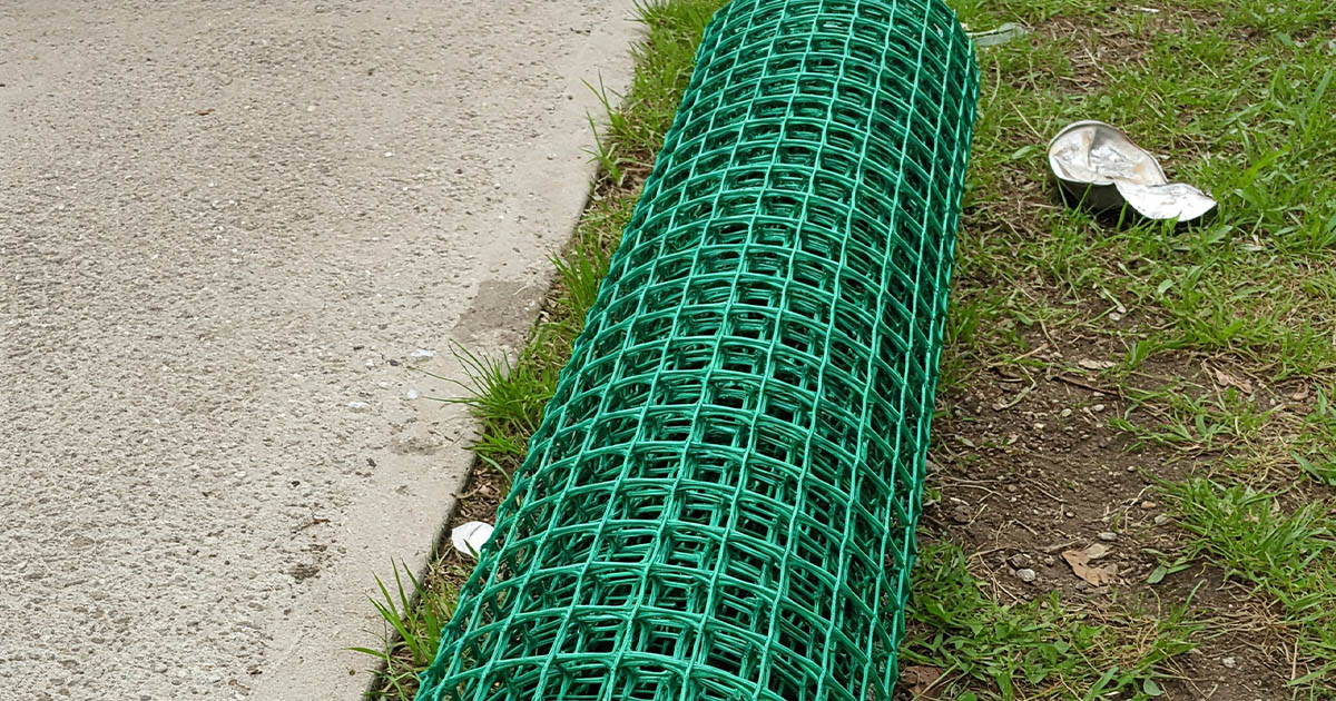 Egy barátom mesélte, hogyan ültetnek uborkát Izlandon: én is így tettem, nagyon kényelmes és sok időt takarít meg