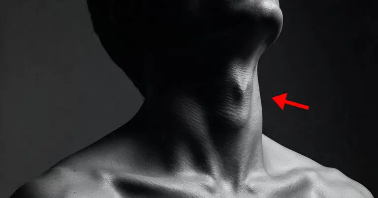 Mire való az ádámcsutka, és miért látható a férfiaknál, de a nőknél nem?