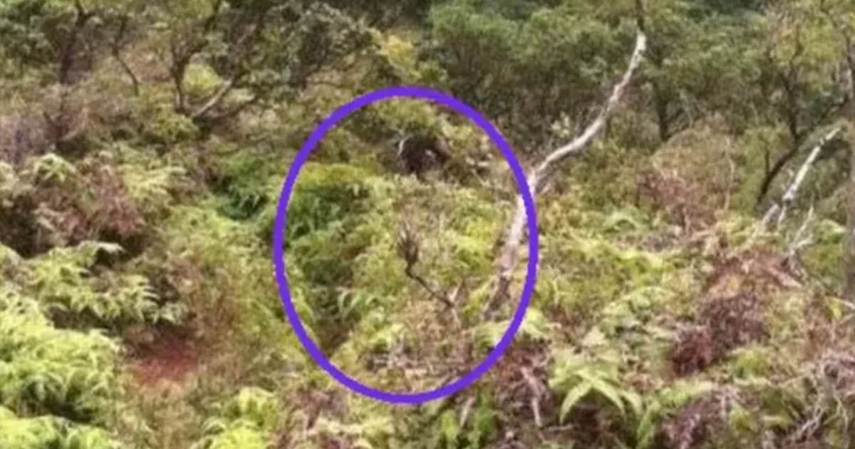 7 ártalmatlannak látszó fotó, amiknek a története mindent megváltoztat