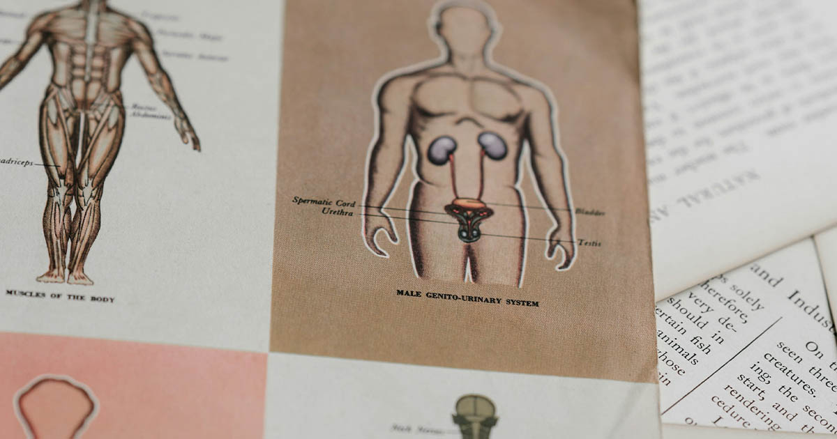 Az orvosok még mindig nem tudják megmagyarázni az emberi test 20 csodálatos titkát – az egyik talán téged is érint