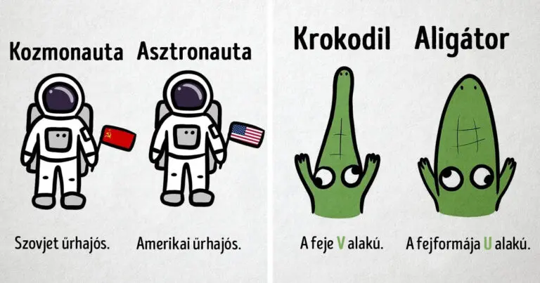 14 rajz, ami megmutatja a különbséget az emberek által gyakran összetévesztett tárgyak és dolgok között