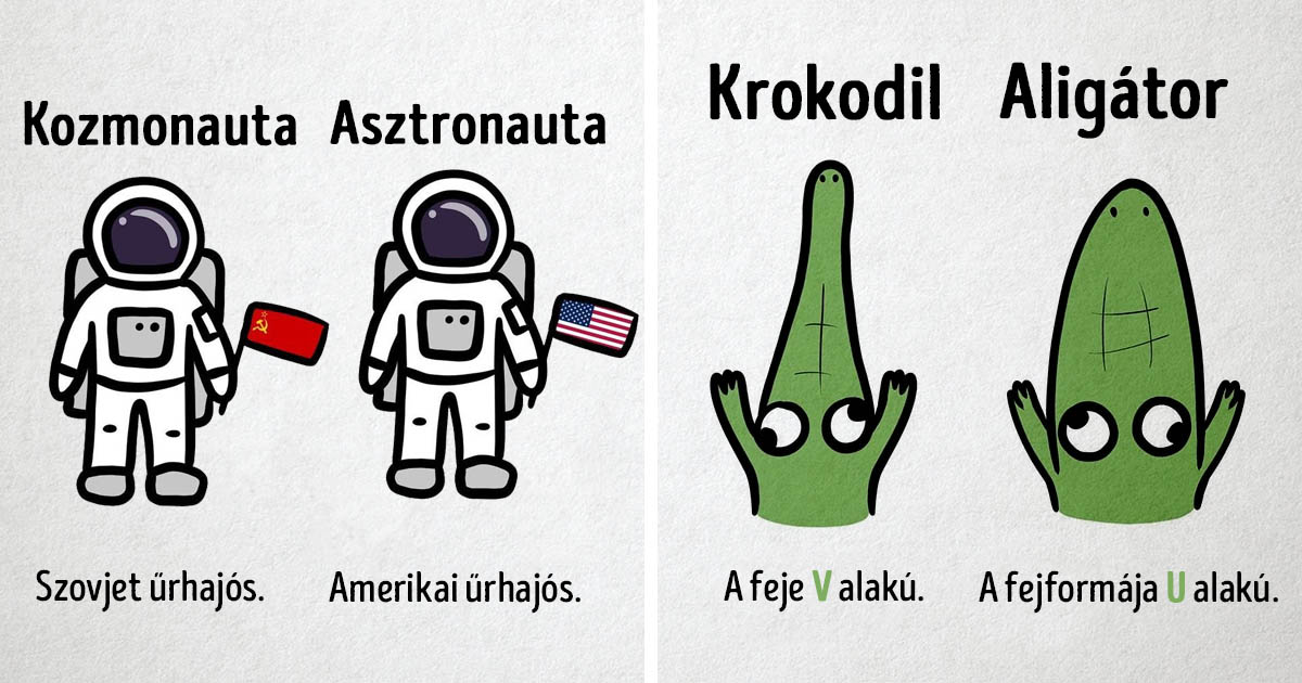 14 rajz, ami megmutatja a különbséget az emberek által gyakran összetévesztett tárgyak és dolgok között