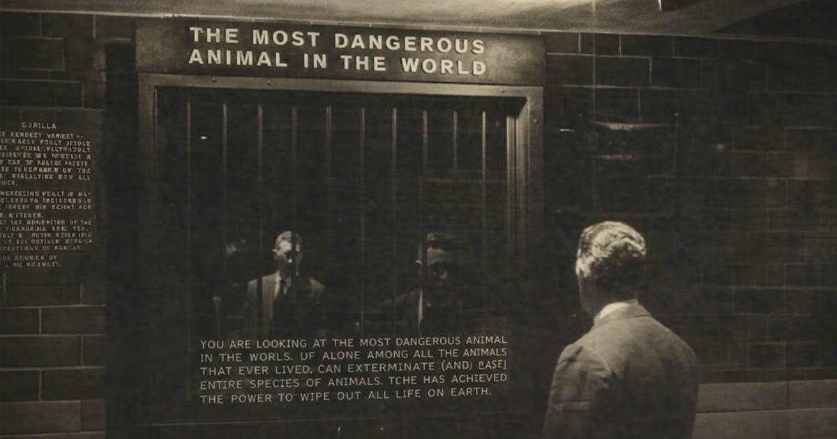 10 történelmi fotó hátborzongató és váratlan részletekkel