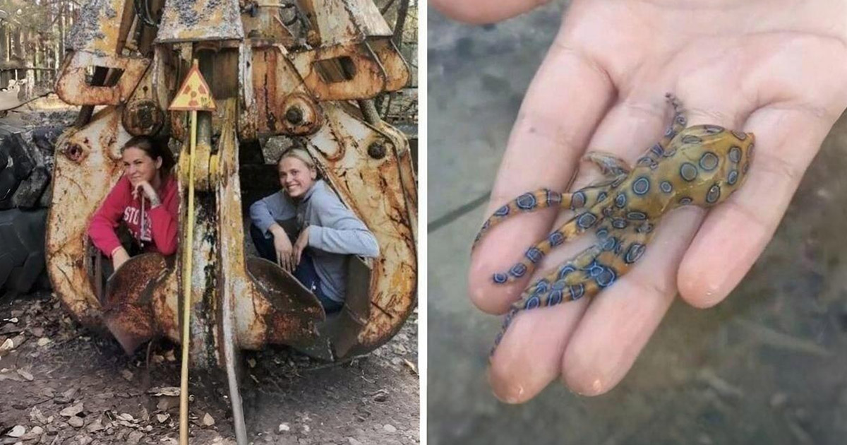 Az emberek 30 alkalommal halálos veszélybe sodorták magukat anélkül, hogy tudták volna