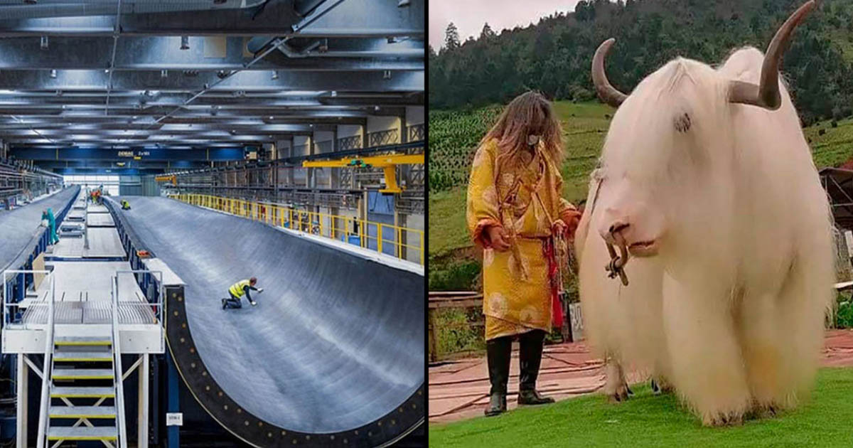 16 lenyűgöző, kontrasztos összehasonlítás, ami minden szónál jobban magyarázza el a dolgokat