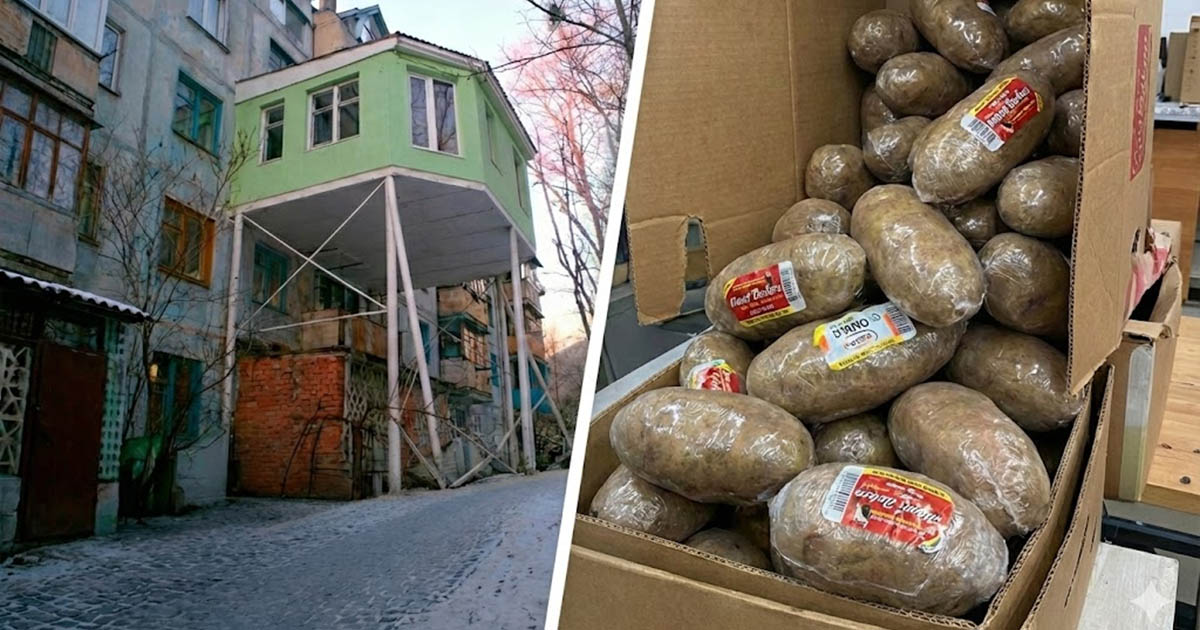 16 példa rá, amikor az emberek cselekedetei elérték az abszurditás határát, és nincs rájuk logikus magyarázat