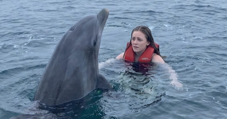 A nők valószínűleg másképp tekintenek majd a delfinekkel való játékra, ha megtudják, mi sülhet ki belőle. És a férfiaknak is óvatosabbnak kell lenniük