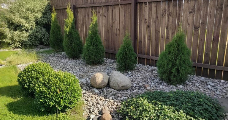 Telkét kaviccsal töltötte fel? Megmutatom, mi lett vele 3 év után!