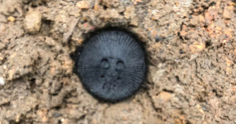 Semmi esetre se vedd fel a földről, ha ilyen „érmét” találsz Ázsiában. Mi ez?