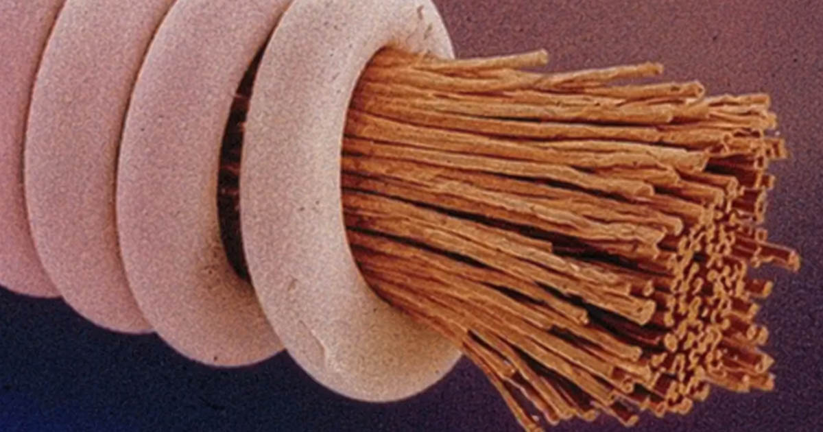 Mi rejlik abban, amit nap mint nap látsz? A hétköznapi dolgok titkai, felnagyítva