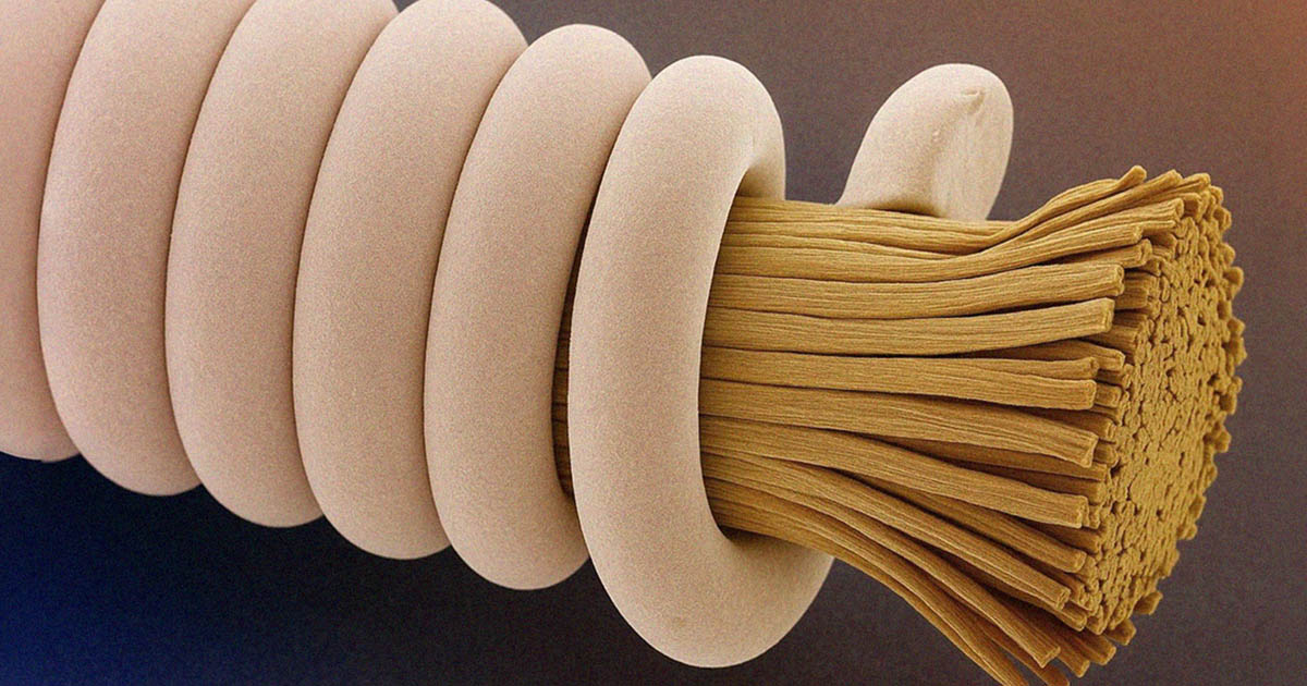 Mi rejlik abban, amit nap mint nap látsz? A hétköznapi dolgok titkai, felnagyítva