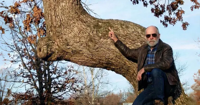 Rejtélyes Fák: Az Indiánok Évszázados Üzenete Amerika-szerte