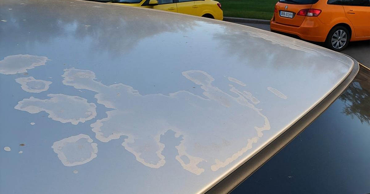 Sofőrhibák, amik miatt a karosszéria lakkja leválhat