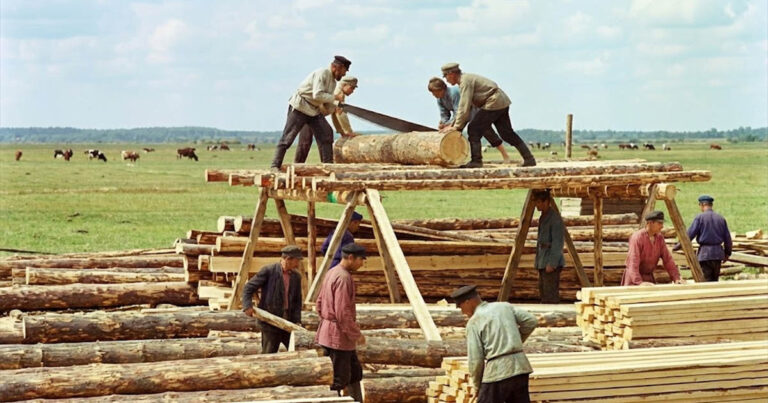 Hogyan fosztott meg egy írástudatlan varrónő 2 millió férfit a keresetüktől, és miért kellene minden férfinak hálásnak lennie ezért?