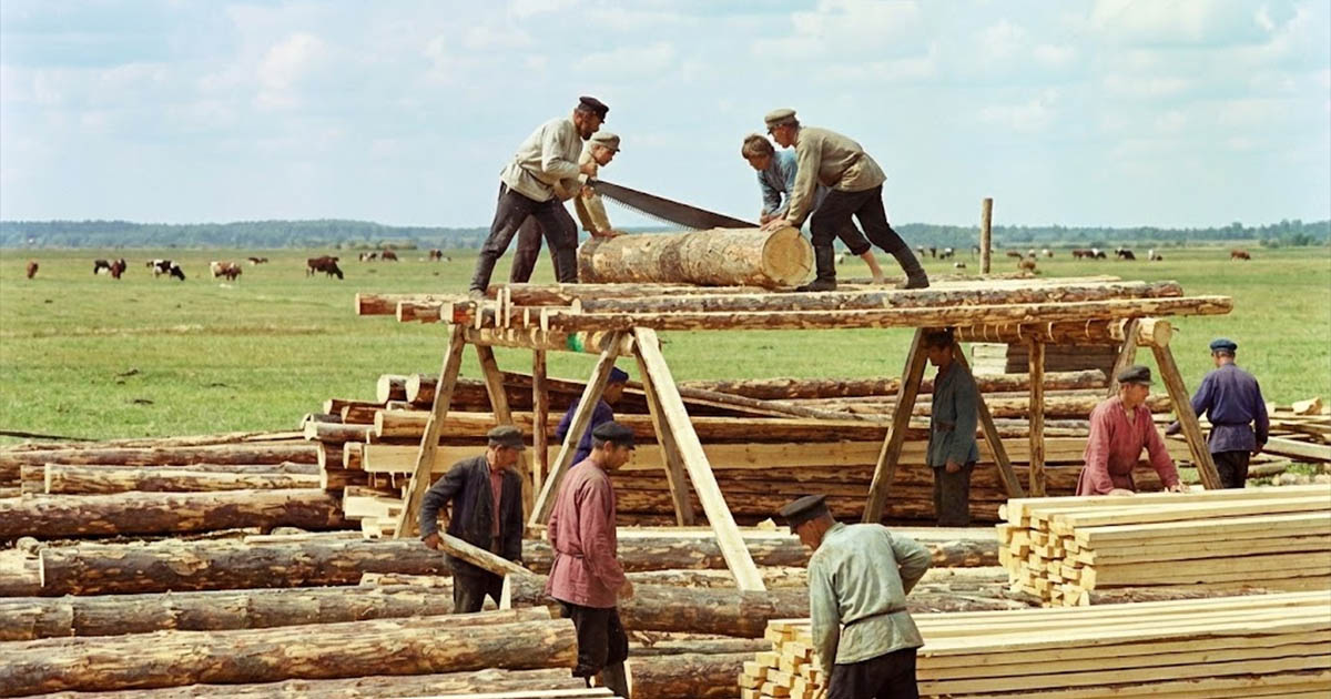 Hogyan fosztott meg egy írástudatlan varrónő 2 millió férfit a keresetüktől, és miért kellene minden férfinak hálásnak lennie ezért?