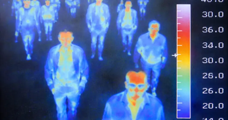 20+ titok, amit a reptéri dolgozók nem szoktak megosztani a hétköznapi utasokkal