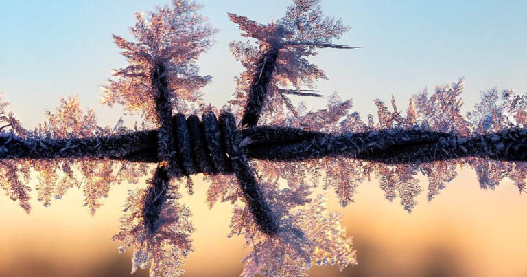 1979: A Leghidegebb Tél? Abnormális Fagy - Emlékezetes Év