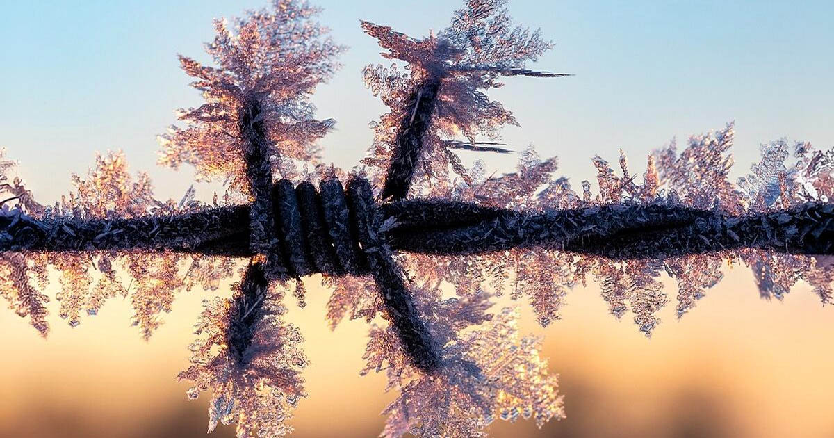 Az 1979-es abnormális fagy. Ez volt a leghidegebb tél?